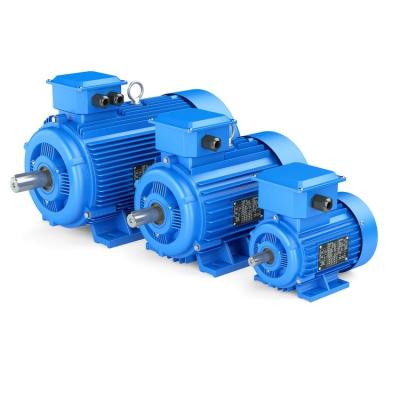 China Douane Lage Trilling 3 Fasepmsm Motor, de Synchrone Elektrische Motor van 2 Pool AC Te koop