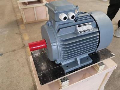 China Aangepaste Permanente de Magneet Elektrische Motor van 132kw 150kw voor Plastic Extruder Te koop