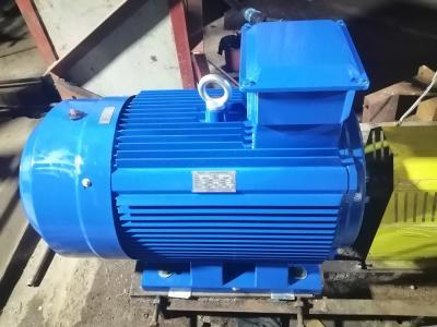 中国 水ポンプのための185kw 3000rpm 380Vの永久マグネット電動機 販売のため