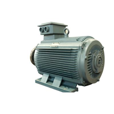 China Eenvoudige Permanente de Magneetmotor PMM 5.5kw-3000kw van het Structuurneodymium Te koop