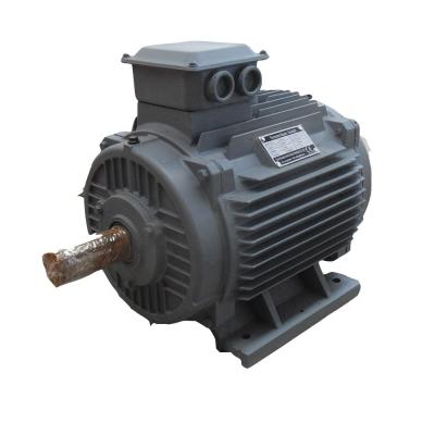 China Renewable Energy Permanent Magnet Alternator Low Speed AC Alternator Generator for sale