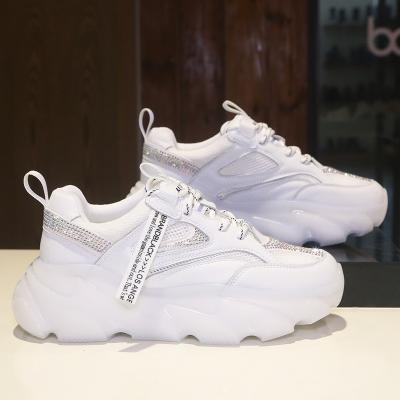 China Best Selling China Wenzhou China Trend Fashion Platform Ladies Soft Spring Summer Breathable Casual Shoes Women's Walking Sneakers for sale