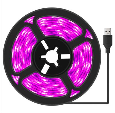 China Seed Starting DC5V Full Spectrum USB Light Strip 2835 SMD 0.5M 30LED Grow Light For Seed Flowers Greenhouses for sale