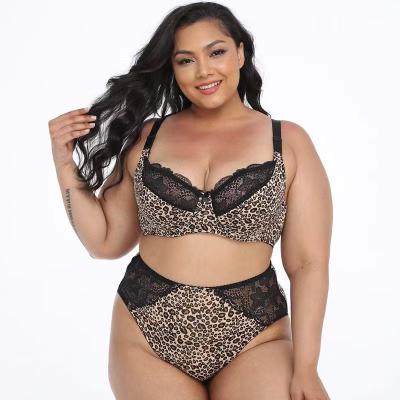 China Chinlon/nylon leopard print bra set plus size bras underwear set women sexy lingerie panties and sexy bra set for sale