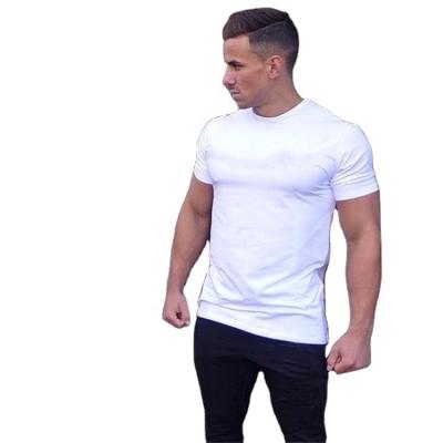 China Cotton Summer Cotton With Elasticity Mens Gyms Workout Breathable Fitness Sports for sale