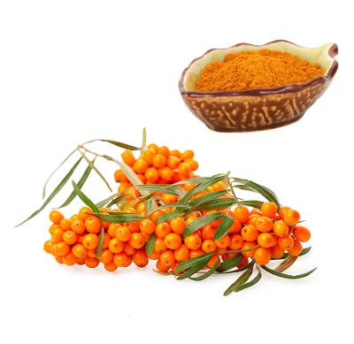 China Drinks Hippophae Fruit Sea Buckthorn Pure Rhamnoids Freeze Dried Juice Powder for sale