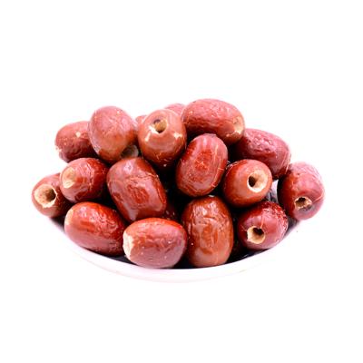 China Jujube Sugar Free Dry Chips for sale