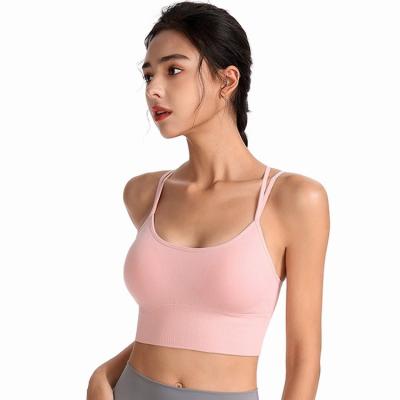 China Beautiful Back Bra Ring Plus Size Sports Underwear New Breathable Thin Strap Cross Yoga Steel Sports Bra for sale