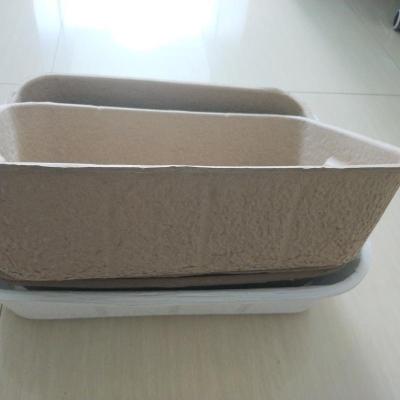 China Sustainable Paper Pulp Molded Disposable Cat Litter Tray for sale