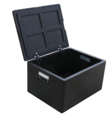 China Waterproof Durable PPE Pure Cooler Box For Lunch And Drinks Carrying for sale