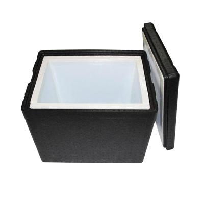 China Waterproof PPE Foam Board Insulation Vacuum Cooler Box For Blood Sample Transport PPE Box for sale