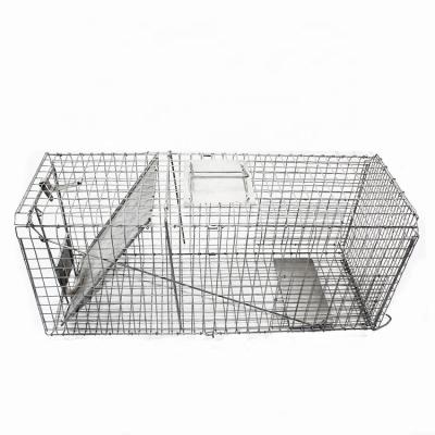 China Viable Survival Animal Traps R Live Fox Cage Trap How To Trap for sale