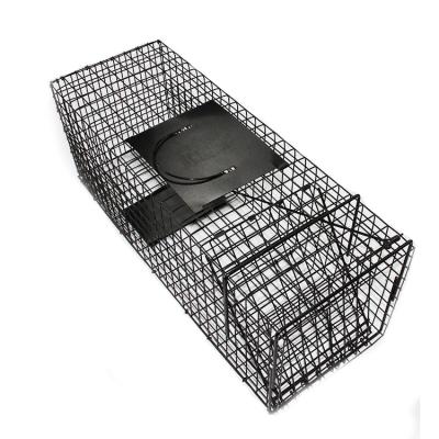 China Viable Buy Rat Trap Metal Rabbit Animal Cages Live Animal Fox Trap Different Sizes For Sale for sale