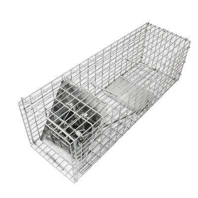 China High Quality Viable Live Animal Trap Rabbit Dog Cat Cage Trap For Wild Animals for sale