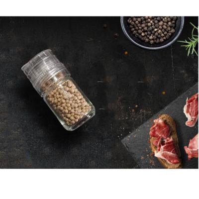 China Sustainable High Quality Transparent Manual Salt Mill 50ml Pepper Mill Spice Manual Grinder for sale