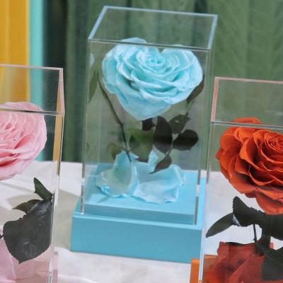 China 8-9cm Heart Shape Little Prince Decorative Rose Eternal Forever Preserved Flowers in Acrylic Square Box For Valentine Gift 12-12-21cm; 8-9cm flower for sale