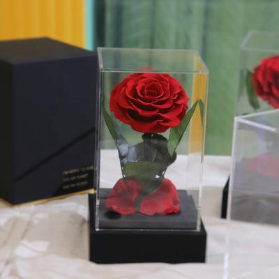 China 8-9cm Little Prince Decorative Rose Eternal Forever Dried Flowers Preserved Flowers in Acrylic Square Box for Valentine Gift 12-12-21cm; 8-9cm flower for sale