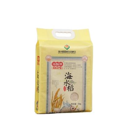 China Recyclable Logo Printed PE NYLON Plastic Rice Bag Food Grade 1kg 2kg 5kg With Handle for sale