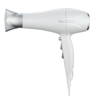 China New Design Ionic Salon White Hooded Professional Hair Dryer Dc Hair Dryer With Ionic And Induction Function for sale