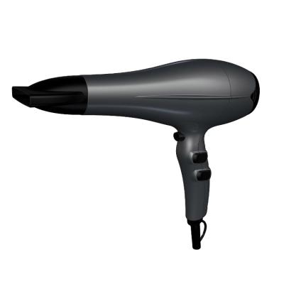 China BLDA High Quality Motor Hand Ionic Hot Selling Hair Dryer Professional Salon On Sale for sale