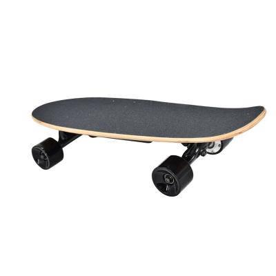 China Best Youth Quality Longboard Mini Fishboard Electric Skateboard Cheap SYL-02 for sale