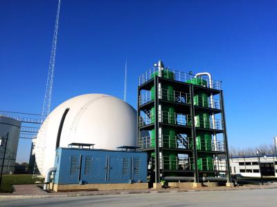 중국 수소 황하물 Biogas 정화 체계 강한 발열 반응 판매용