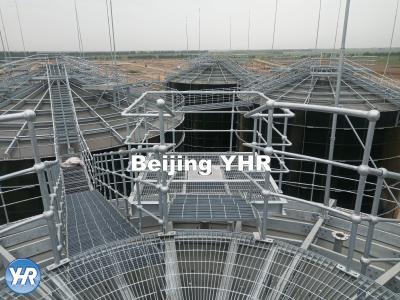 Cina Installazione conveniente del digestore del biogas dei reattori di trattamento delle acque reflue dello sterco di mucca in vendita