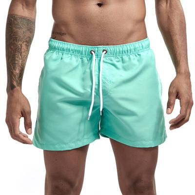 China Anti-wrinkle Shorts Polyester High Quality Casual Sports Plus Size Mens Shorts for sale