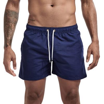 China Summer Hot Sale Casual Men's Clothing Shorts Anti-wrinkle Style Quick Drying Shorts for sale