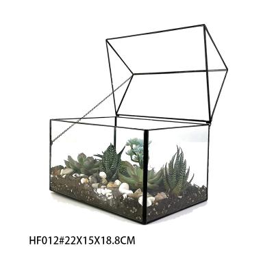 China Delegant/elegant/rustic fancy mini greenhouse for home and office for sale