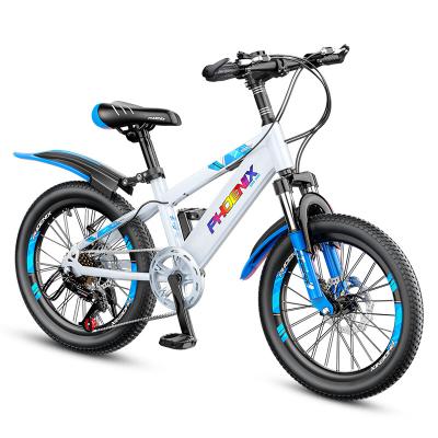 China 20 Inch Adult/Child Steel Custom Mountain Bike OEM Child Sport City Bicycle For 12-17 Years Old Cycle Mountain Bike for sale