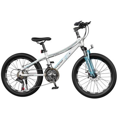 China Factory Wholesale 21 20 22 Inch MTB Kid's Bicycle High Carbon Steel 18 Speed ​​Steel Mountain Bike for sale