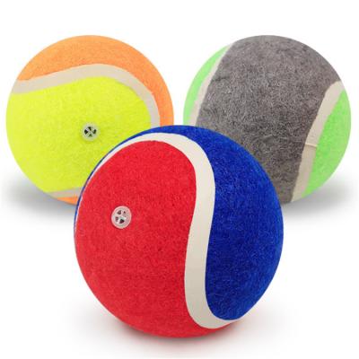 China Shanghai Sustainable Manufacturer Wholesale Custom High Quality Squeaky Rubber Body Tennis Balls Pet For Dogs for sale