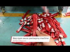 Bag-type sauce packaging machine