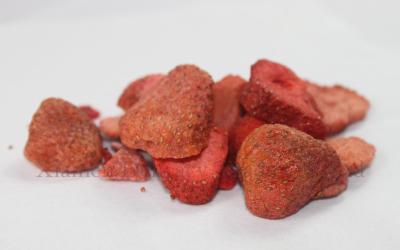 China La fruta liofilizada sana segura de las fresas corta los frutos secos congelados naturales en venta