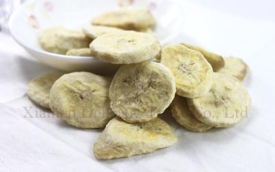 Chine Les bananes organiques lyophilisées découpe en vrac en tranches en tant que casse-croûte sains de fruit pour des enfants à vendre