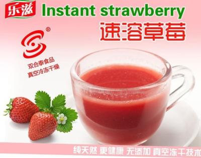 China natural freeze dried fruits instant strawberry fruit powders for sale