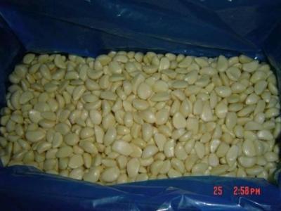 China Garlic Cloves for sale