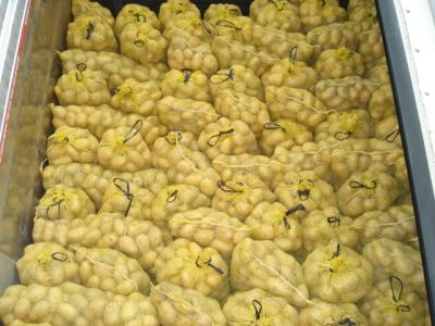 China 100% Maturity Fresh Smooth Holland Potato Yellow Inside 20 kg/ Carton for sale