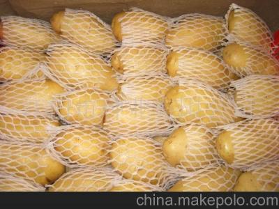 China Healthy Smooth Organic Holland Potato , High In Starch 200g And Up for sale