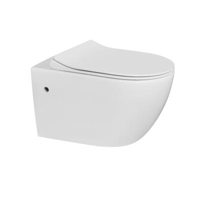 China Chinese Manufacturer Supply High End Double-flush Standard Wall-hung Toilet With Bidet for sale