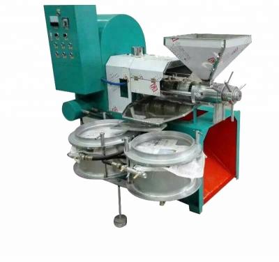 China Palm Oil Extraction Machine India hemp Oil Processing Equipment Thailand Coconut Oil Cold Press Machine for sale