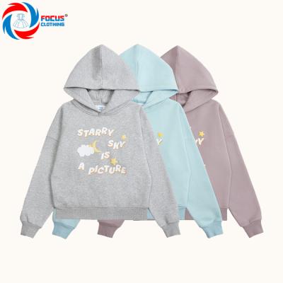 China New Arrivals Breathable Long Sleeve Pullover Autumn Winter Female Hoodies For Women for sale