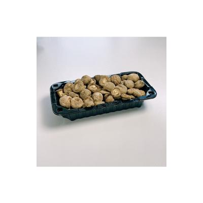 China Whole Sale Tawny Crisp Organic Dried Mushrooms Dry Delicious Fresh Healthy Shiitake for sale