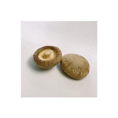 China Good Quality Various Whole Sale Dried Organic Sun Dried Shiitake Mushrooms for sale