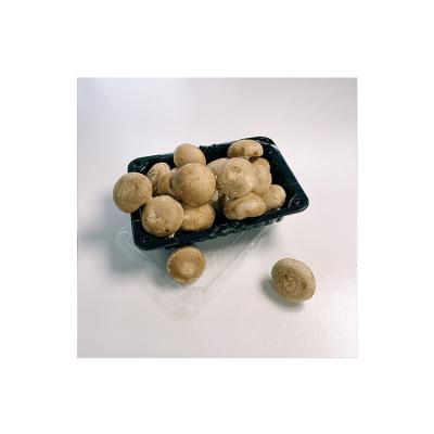 China Guarantee Tender Suitable Quality Low Price Tender Fresh Shiitake Mushroom for sale