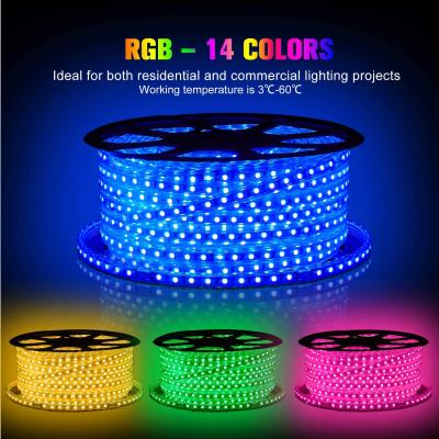 China Outdoor Indoor Christmas Rope Lights Color Changing LANDSCAPE Decor 150FT LED RGB Strip Lights AC110V 220V Dimmable Fairy String Lights for sale