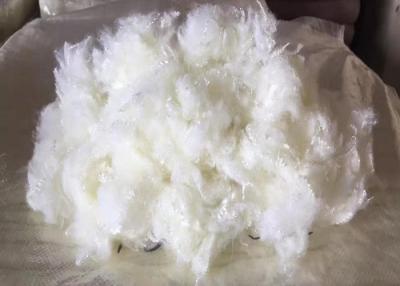 Chine 22D ignifuge a réutilisé la couleur blanche ene ivoire de fibre de raccourci de polyester à vendre