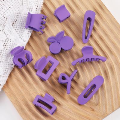 China Purple Hair Claw Set Hair Claw Frosted Plastic Custom Hair Claw Clips For Women Non-slip Hair Claw Matte Claw Clips Hair Claw Clips for sale