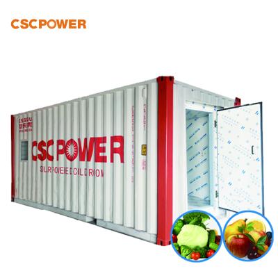 China High Quality Hotels 20ft Cold Room 20ft Container Cold Room Cold Storage For Fruit And Meat for sale